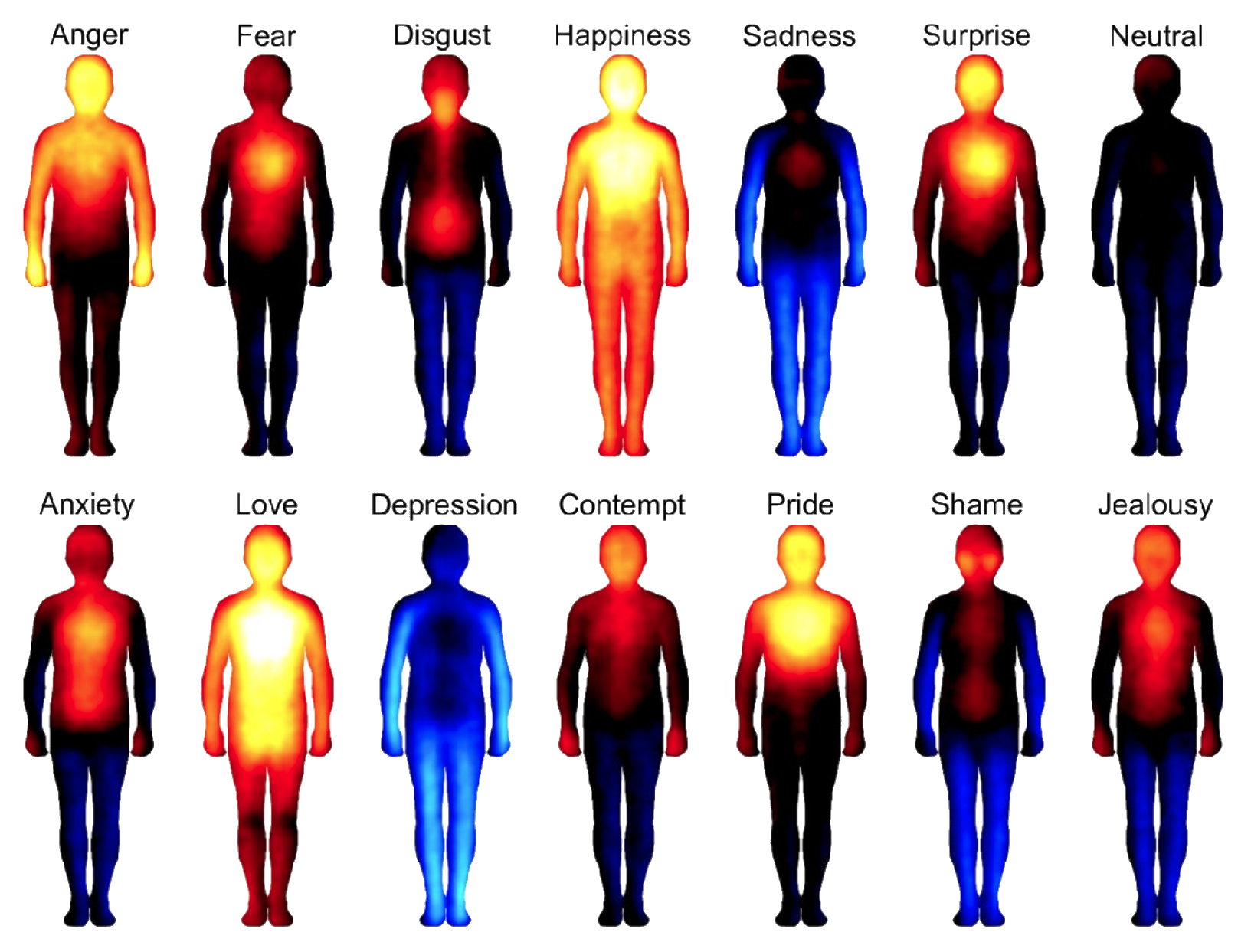 Bodily topography of emotions.  This is utterly alien to me.